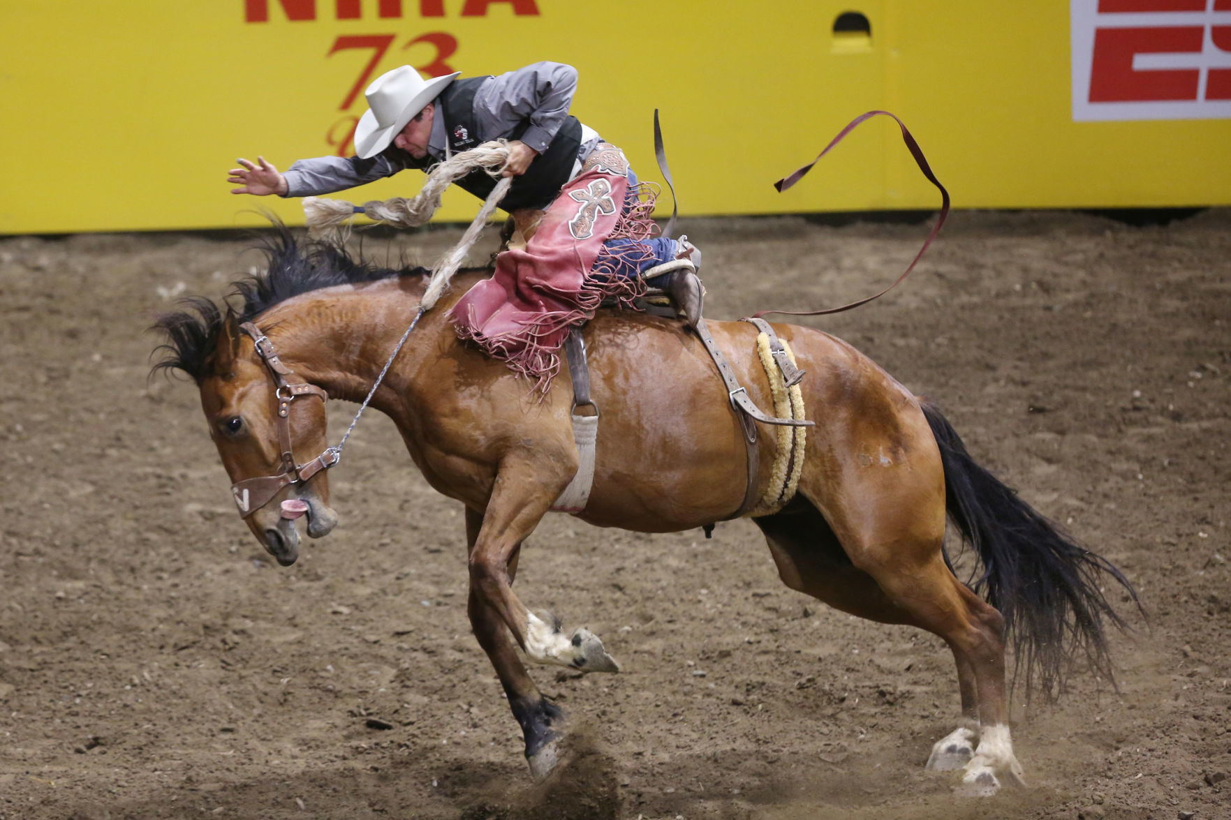 CNFR